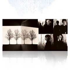 AFI Decemberunderground IVC Edition Bone Color Vinyl 2LP IN HAND only 3000 made!
