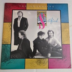 The Awakening Sanctified Vinyl LP 1987 Reunion Records 7-01-002412-X CCM Rock
