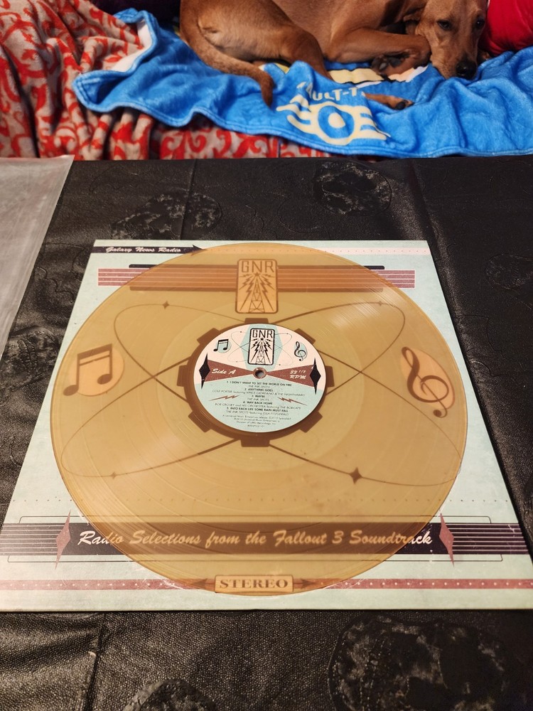 Fallout 3 GNR Radio Selections Vinyl Dirty Water Brown LP Bethesda Rare AF