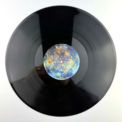 Ed Wynne Gre Vanderloo Tumbling Through The Floativerse Vinyl LP NM Ozric Tentac