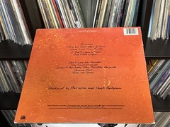 Phil Collins – No Jacket Required (LP) (Very Good (VG)) – 4229861685