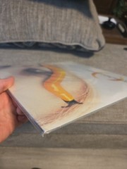 Thirteenth Step by Perfect Circle (Record, 2003) 1st Pressing Mint New Unopened!