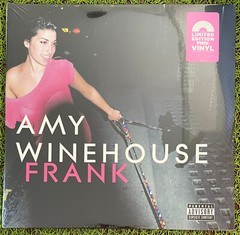 You pick – Amy Winehouse, Panic!, Gaga, Maroon 5 Vinyl LP – Multiple Titles