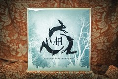 NUMBERED AFI Decemberunderground BONE vinyl 2LP /3000 IVC Edition sorrow silver