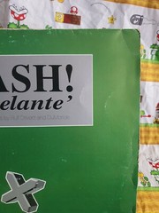 SASH Adelante EDIT & 2 MIXES RUFF DRIVERZ & DuMONDE LP Single USA seller Trance