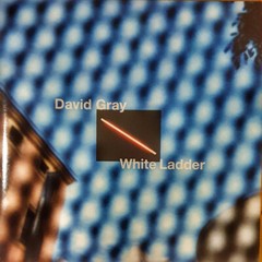 DAVID GRAY WHITE LADDER REMASTERED BLACK VINYL 2LP GATEFOLD SEALED 20th ANN