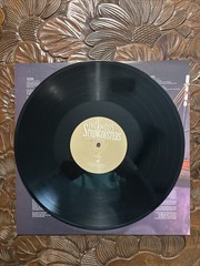 The Infamous Stringdusters – Laws Of Gravity (Vinyl LP)