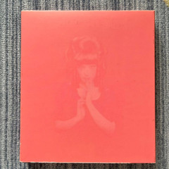 Ringo Sheena / Shoso Strip 2000 First Limited Edition with Obi Japan Used
