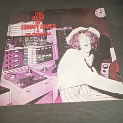 Tommy James & The Shondells The Best Of 12″ 33 RPM Stereo Vinyl LP Roulette