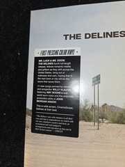 The Delines Mr. Luck & Ms. Doom (Vinyl) 12″ Album Coloured Vinyl