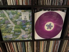 Fiddlehead – Between the Richness “White Inside Purple” Run For Cover Records NM