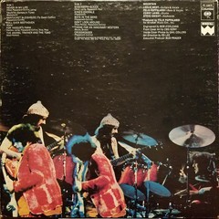 Mountain – The Best Of Mountain (LP) (Very Good Plus (VG+)) – 4267918707