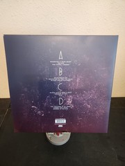 The Firewatcher’s Daughter – Brandi Carlile (2x LP White Vinyl Record, 2015)