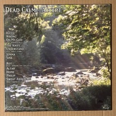 Dead Calm – Accept Yellow Black Starburst Vertigo Vinyl LP /300 PRESALE✅