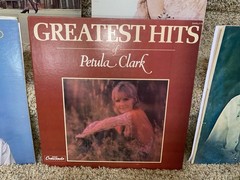 LOUNGE & EASY LISTENING MUSIC VINYL RECORD GRAB BAG! (5) ASST Oldies Albums LP’s