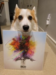 Signed/Autographed Zedd – True Colors (2 x Vinyl, LP, Album, Gatefold)