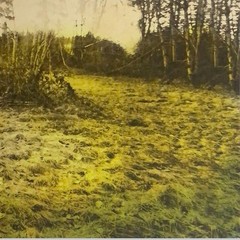 Brandi Carlile – Bear Creek (2xLP) (Mint (M)) – 4210139088
