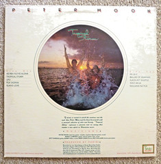 Peter Moon & Hawaiian Slack Key Guitar Assorted 9-LP Record Collection