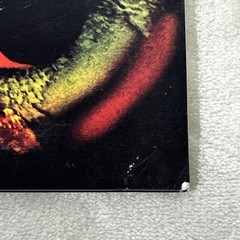 Adventures Pity Sex 7” Vinyl Record 45 RPM Run For Cover Colored Vinyl VG+