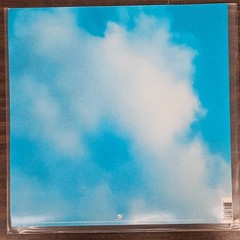 30 Seconds To Mars – It’s The End Of The World But It’s A Beautiful Day (Vinyl)