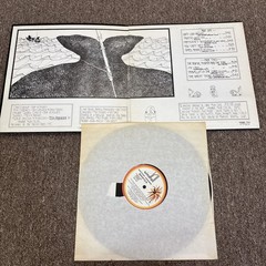 Mountain LP Lot Nantucket, Flowers Of Evil, Life, Twin Peaks, Avalanche GRG Test