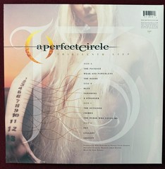 Thirteenth Step by Perfect Circle Vinyl Record (2 LP Gatefold, 2003)