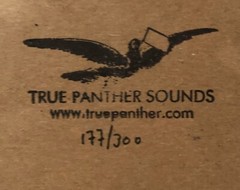 STANDING NUDES Ghost Story 12” Vinyl LP True Panther Sounds TRUE005 #’d 177/300