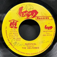 The Deltones ‎– ‚Survival‘ 7″ Single Jamaica Lucy Records Tuff Gong Reggae 45 x