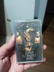 LOT 20 CASSETTES TAPES CAIFANES MOLOTOV CONTROL MACHETE MANA CODA CAFE TACUBA