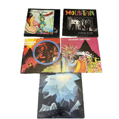 Mountain LP Lot Nantucket, Flowers Of Evil, Life, Twin Peaks, Avalanche GRG Test