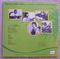 Peter Moon & Hawaiian Slack Key Guitar Assorted 9-LP Record Collection
