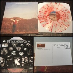 FIDDLEHEAD Springtime And Blind LP Splatter Vinyl-Basement Have Heart Angel Du$t