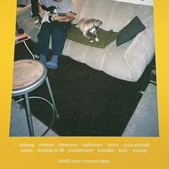Mac DeMarco Guitar – Signed Black Vinyl LP Autographed On Jacket NEW