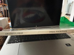 GRATEFUL DEAD STEAL YOUR FACE NEW SEALED VINYL GRATEFUL DEAD RECORDS GD-LA620-J2
