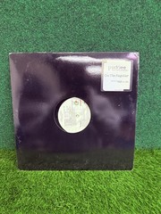 Pudgee Tha Phat Bastard – On The Regular 12″ Vinyl PROMO 1996 Hip Hop Single