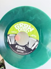Grupo Kual Vinyl Box Set