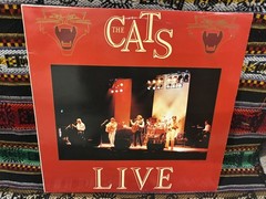 THE CATS Live 2x 12″ vinyl LP pop acoustic rock 1984 Netherlands import
