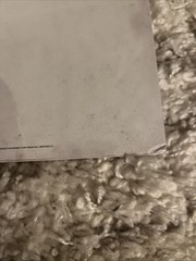 City Morgue Vol. II: As Good As Dead Vinyl with Signed Sleeve – SEALED 2019