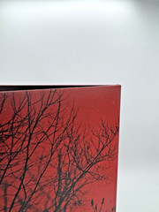 American Football 4 (Goldenrod Colored Vinyl) SIGNED – VG+