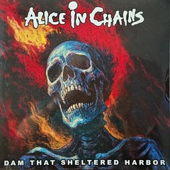 Alice In Chains Live 2 LP Red Vinyl Dam That Sheltered Harbour Hawaii 1993 NEW