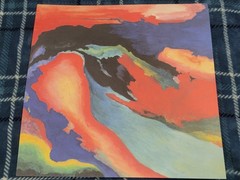 Avi Buffalo – Self Titled – (2010) 1st and only pressing on black vinyl OOP rare