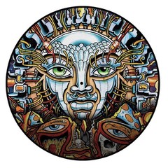 Sublime ~ Until The Sun Explodes, Exclusive Ltd Edition 2LP Picture Disc Vinyl