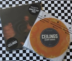 Lizzy McAlpine Ceilings 7″ Vinyl Record Single Orange