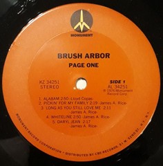 Brush Arbor – Page One (LP, Album) (Very Good Plus (VG+))