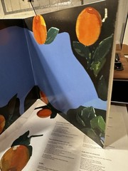 Lana Del Rey Violet Bent Backwards Over The Grass Vinyl