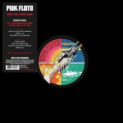 Pink Floyd Wish You Were Here