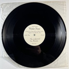Winter Hours 3X VINYL BUNDLE Leaving Time LP The Confessional EP Say the Word EP