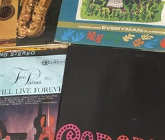 100 Random Vinyl LPs – Folk Pop, Country – Mystery Lot – Free Shipping Gift djs