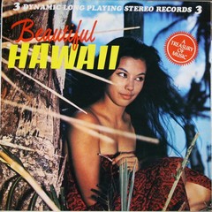 Various – Beautiful Hawaii