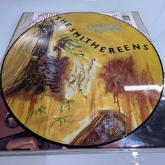 SMITHEREENS Especially For You 1986 US Enigma PICTURE DISC LP ~ HYPE STICKER!!!